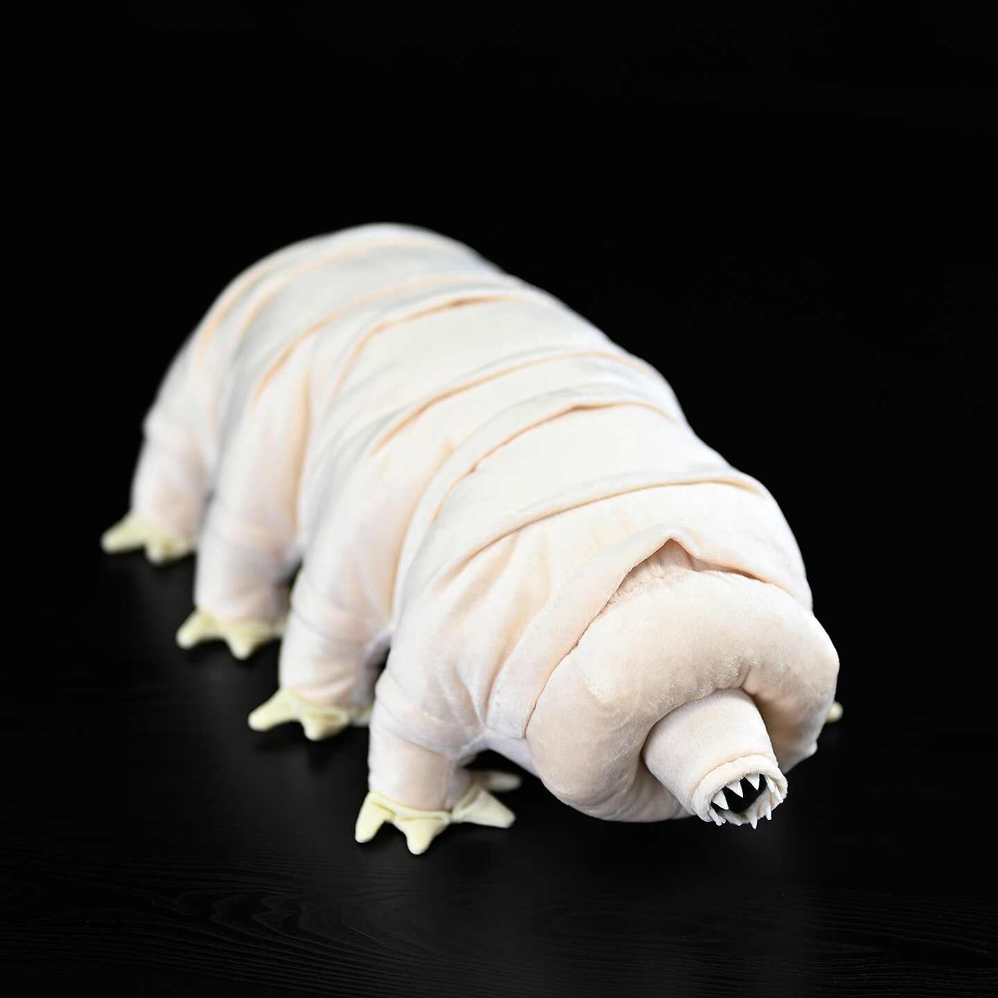 The Unbothered Tardigrade Stuffy